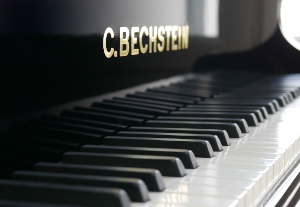 bech-300
